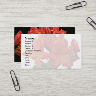 Orange Azalea Blossoms Business Card