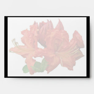 Orange Azalea Blossoms Envelopes