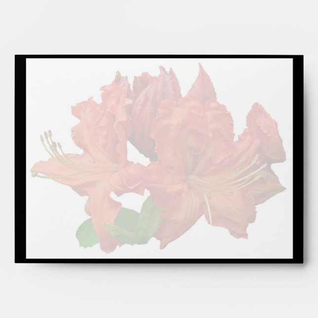 Orange Azalea Blossoms Envelopes (Front)