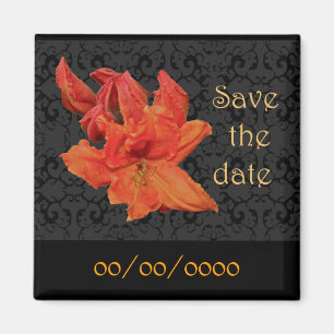 Orange Azalea Blossoms Magnet