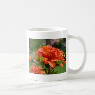 Orange AZALEA FLOWERS 14 Azaleas Cards Gifts Mugs