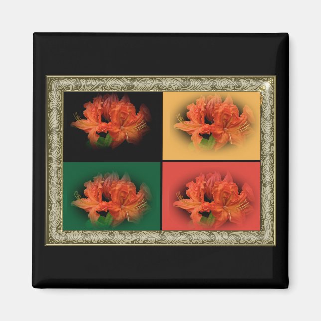 Orange Azaleas Magnet (Front)
