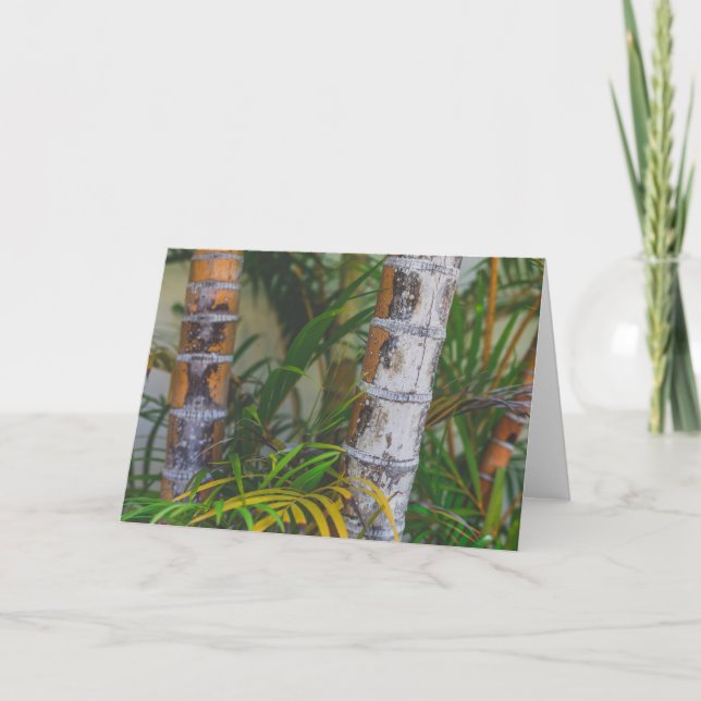 Orange Bamboo Card (Front)