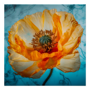 Orange Beauty  Poster