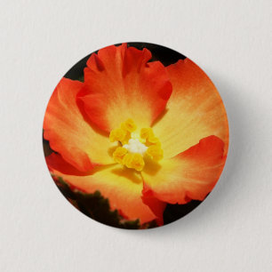 Orange Begonia Button