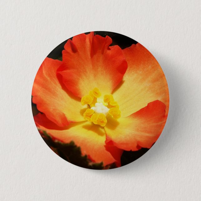 Orange Begonia Button (Front)