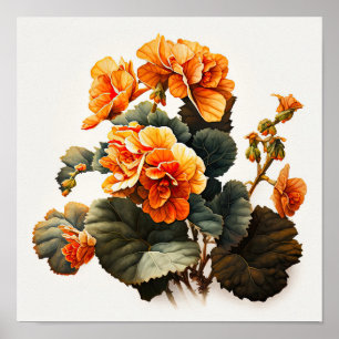 Orange Begonias Flower Art Print Poster