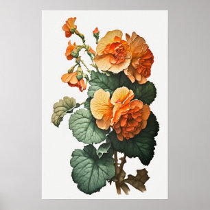 Orange Begonias Flower Art Print Poster