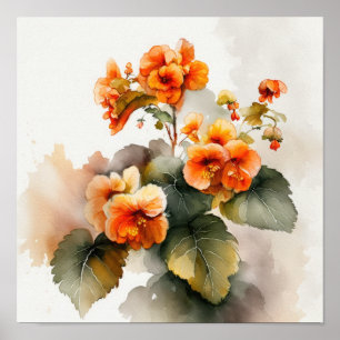 Orange Begonias Flower Art Print Poster