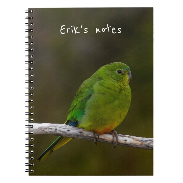 Orange-bellied Parrot Bird Australia Notebook (Front)