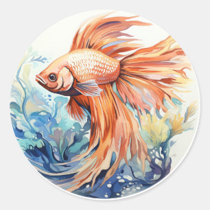 Orange Beta Fish Underwater Classic Round Sticker