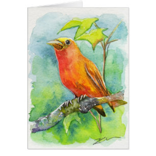 Orange Bird