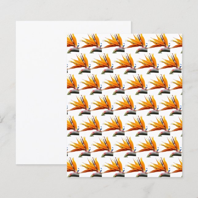 Orange Bird of Paradise Pattern on White Paper (Front/Back)