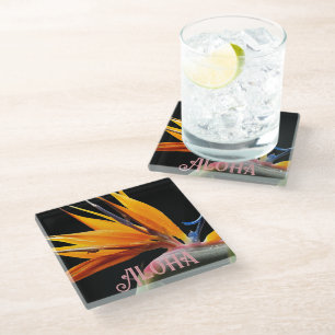 Orange Bird of Paradise Plant Bloom Aloha Glass Coaster