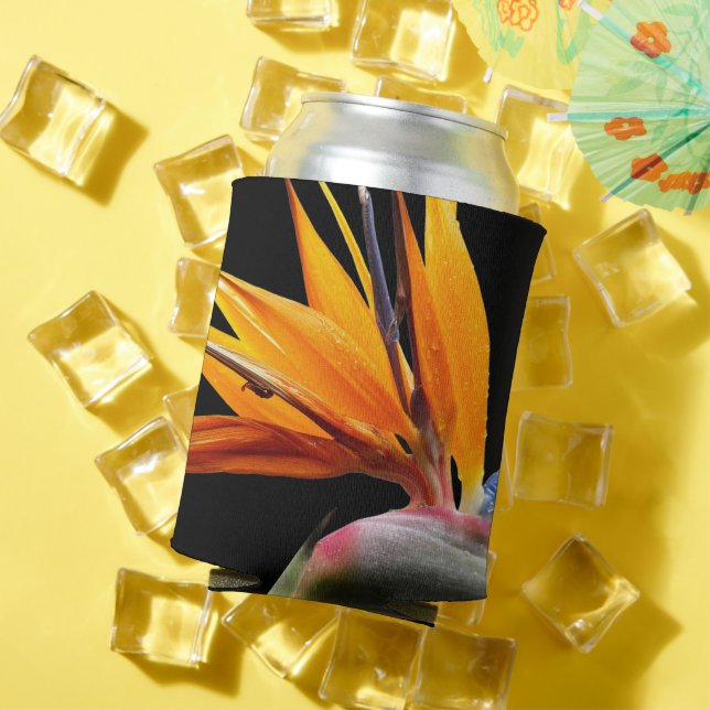Orange Bird of Paradise Plant Bloom Floral Can Cooler (In Situ Summer)