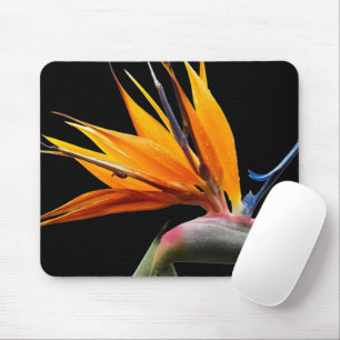 Orange Bird of Paradise Plant Bloom Floral Mouse Pad