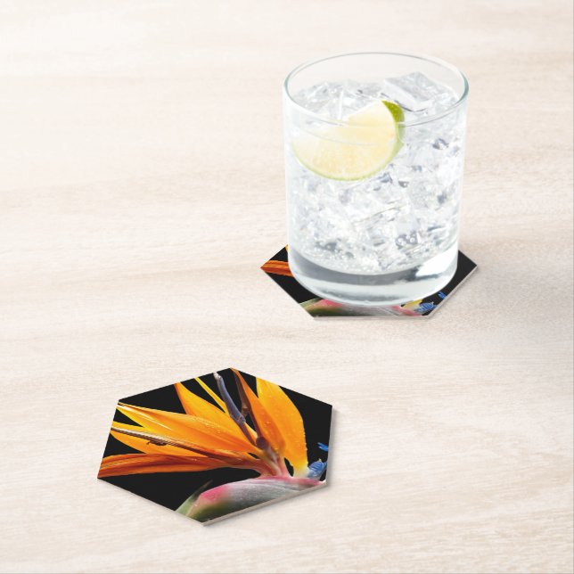 Orange Bird of Paradise Plant Bloom Floral Paper Coaster (Insitu)