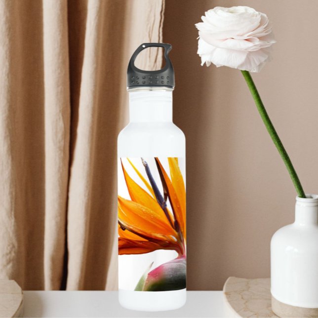 Orange Bird of Paradise Plant on White 710 Ml Water Bottle (In Situ)