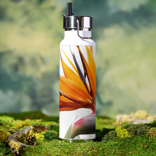 Orange Bird of Paradise Plant on White Water Bottle (Outdoor)