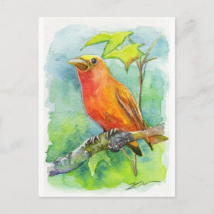 Orange Bird Postcard