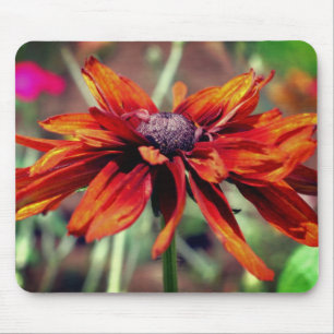 Orange Black Eyed Susan Flower Mouse Pad