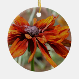 Orange Black Eyed Susan Flower Ornament