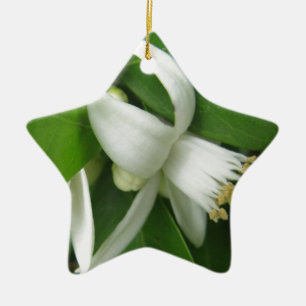 Orange Blossom Ceramic Tree Decoration