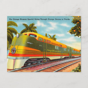 Orange Blossom Special Orange Groves in Floride Postcard