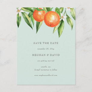 Orange Blossoms Citrus Botanical Save the Date Announcement Postcard