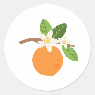 Orange Blossoms Classic Round Sticker