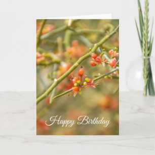 Orange blossoms close up birthday card