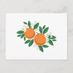 Orange Blossoms Postcard