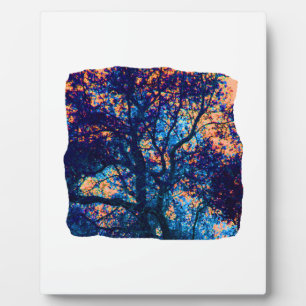 Orange Blue Oak Tree Abstract Branch Plaque