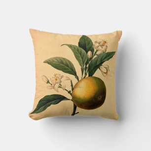 Orange Botanical Illustration Cushion