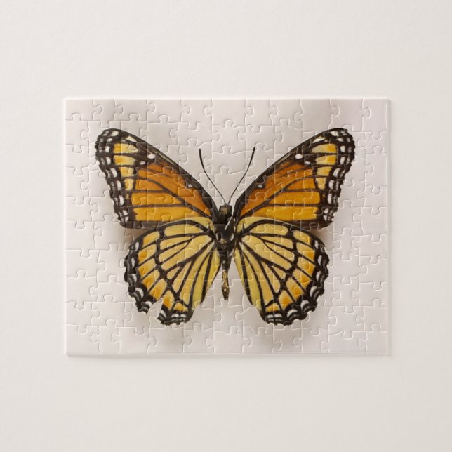 Orange Brown Winged Butterfly Puzzle (Horizontal)