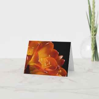 Orange Bush Lily #2 Card