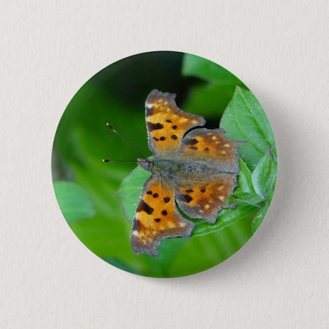 Orange butterfly 6 cm round badge (Front)
