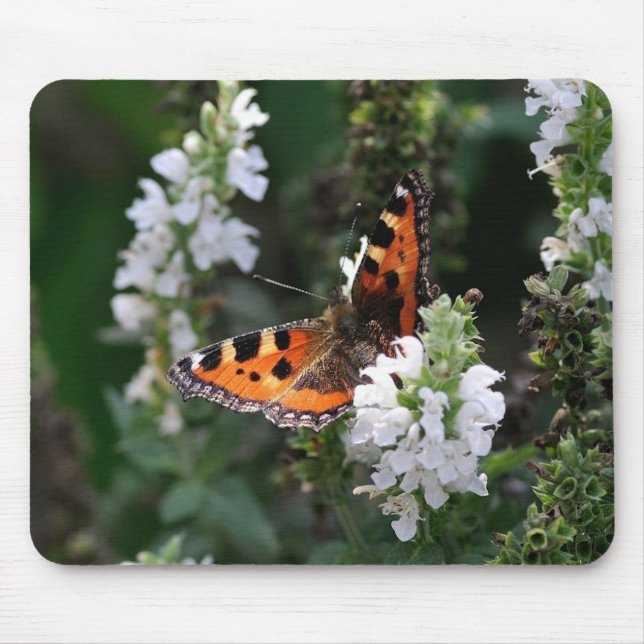 Orange Butterfly and White Blossoms Mouse Pad (Front)