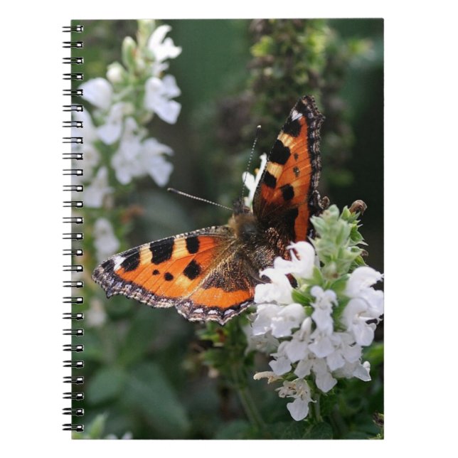 Orange Butterfly and White Blossoms Notebook (Front)