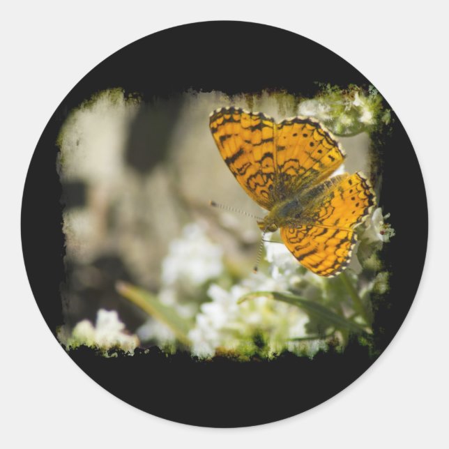 Orange Butterfly Classic Round Sticker (Front)