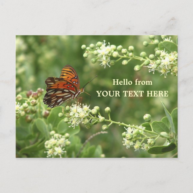 Orange Butterfly Customised "Hello from" Postcard (Front)
