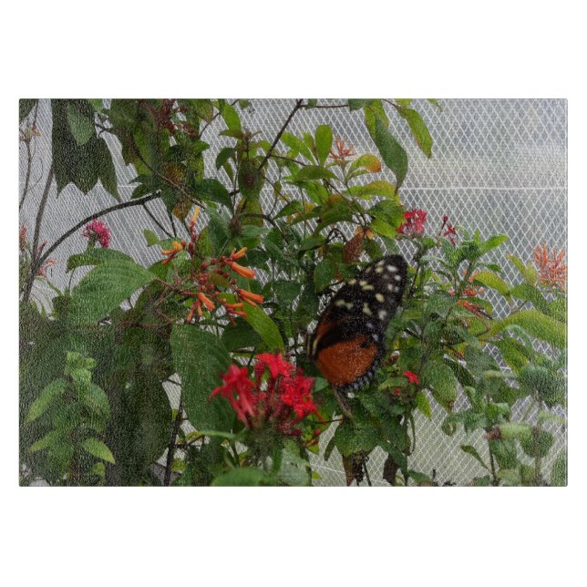 ORANGE BUTTERFLY CUTTING BOARD (Front)