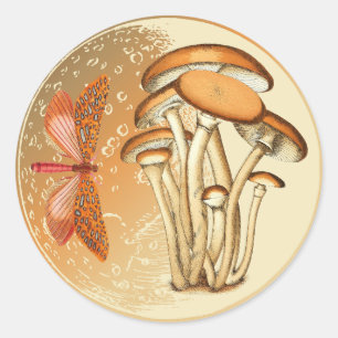Orange Butterfly Mushroom Moon Classic Round Sticker