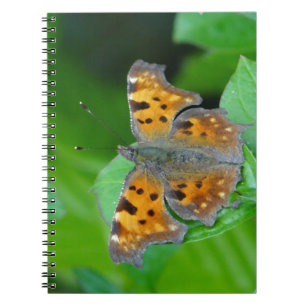 Orange butterfly notebook