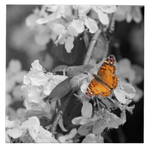 Orange Butterfly On Apple Blossom Ceramic Tile