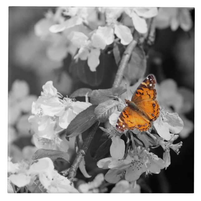 Orange Butterfly On Apple Blossom Ceramic Tile (Front)