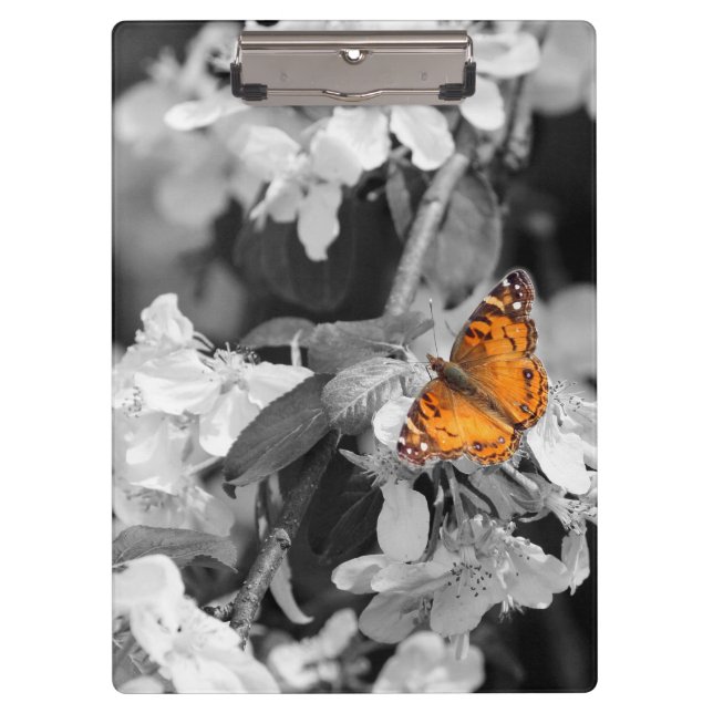 Orange Butterfly On Apple Blossom Clipboard (Front)