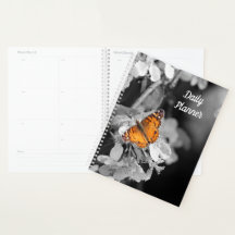 Orange Butterfly on Apple Blossom Daily Planner