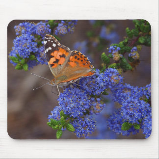Orange Butterfly On Blue Flower Mouse Pad