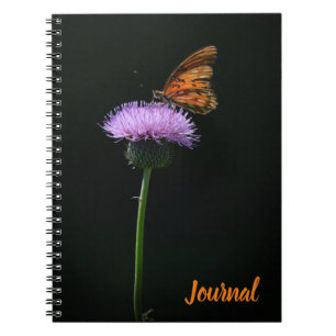 Orange Butterfly on Purple Flower Journal